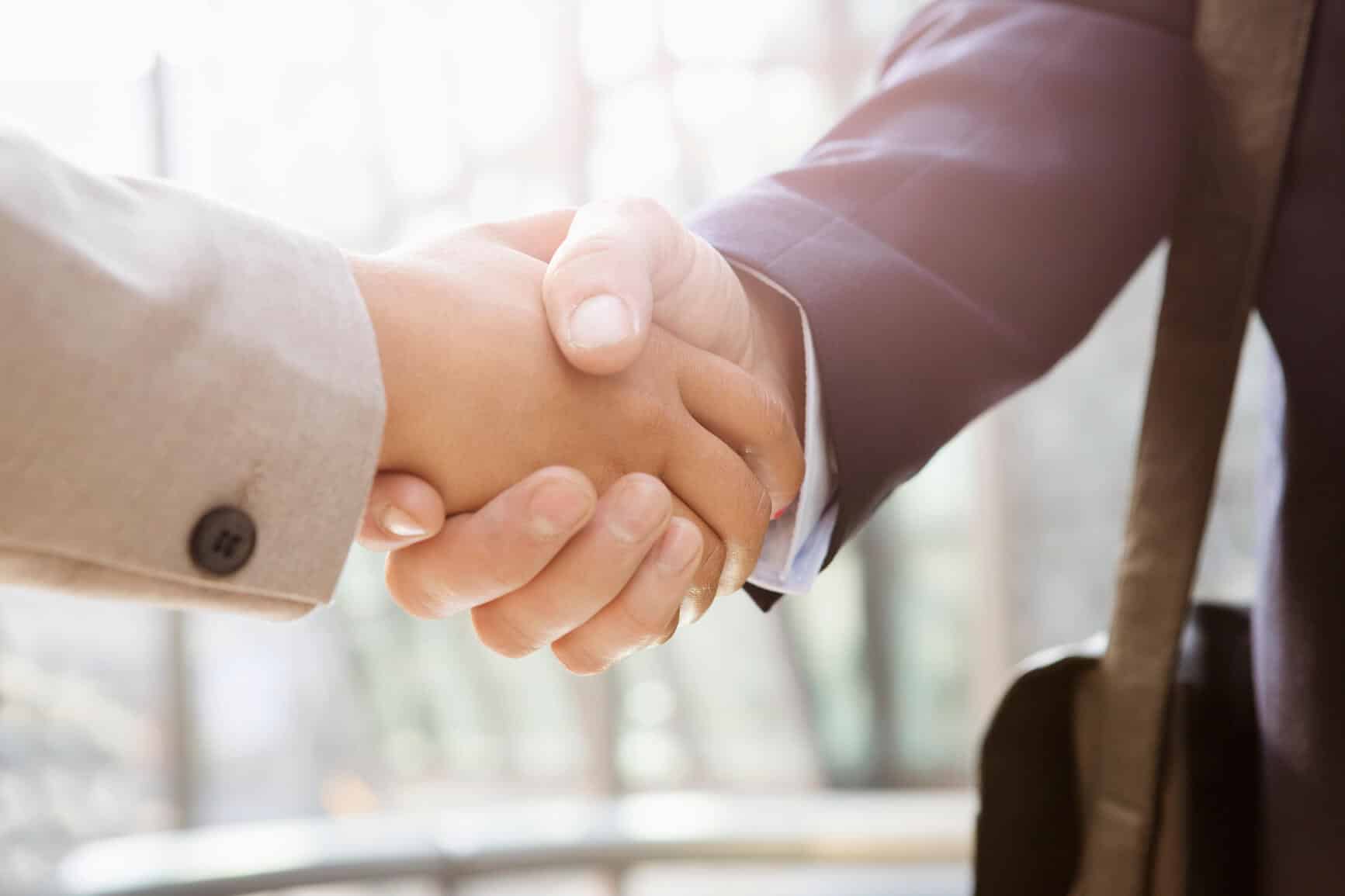 businesspeople shake hands